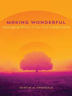 cover image of Making Wonderful